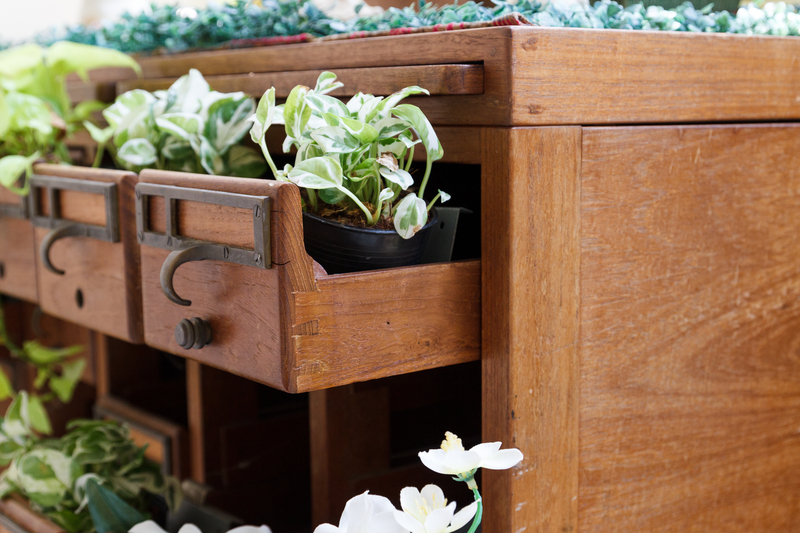 Exploring Green Alternatives for Cardboard and Packaging Waste