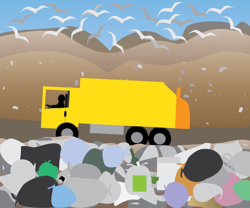 What Exactly Constitutes a Mini Skip?